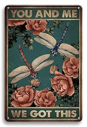 Iron Poster Painting Roses Dragonfly You And Me We Got This Art Metal Sign Fixings Included Metal Tin Sign For Bathroom Garden Pub 20X30Cm
