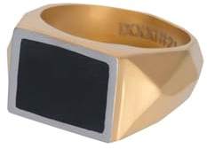 iXXXi Men Herr sigillring Audi, 19mm, Rostfritt stål, Ingen ädelsten
