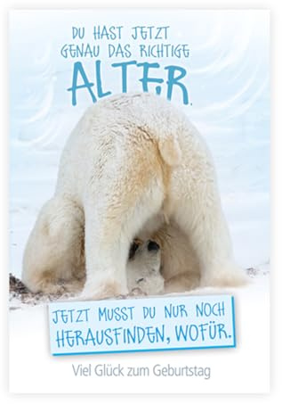 KE - Glückwunsch-Karte zum Geburtstag für Frauen und Männer, mit Umschlag, DIN B6, tierische lustige Geburtstagskarte, Motiv: Eisbär