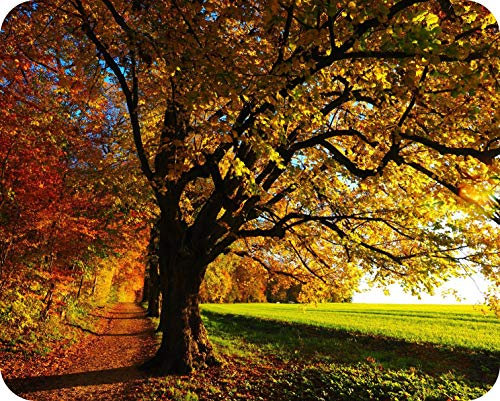 Premium Glass Worktop Saver- Kitchen Worktop Protector with Autumn Design- Tempered Glass Chopping Cutting Board for Food Prep Baking Pastry - by Pearl Glass (50 x 40cm Large)