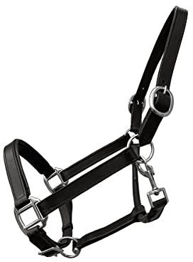 Lederhalfter Basic schwarz unterlegt verstellbar an Nase und Genick (Pony)