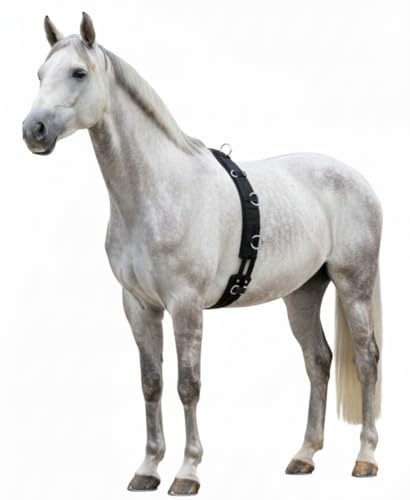 Hunters Saddlery Deluxe Longiergurt aus gepolstertem Nylon für Pferde – Größe Vollblut (Cob)