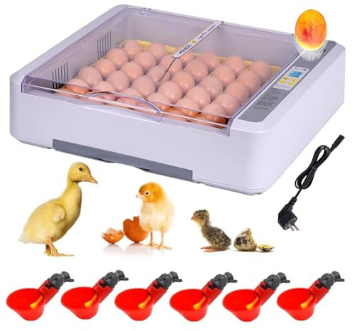 BREUAILY Brutautomat Vollautomatisch 36 Eier Brutkasten Hühner Inkubator Hühner mit Automatischem Wenden der Eier LED Eierleuchte Anzeige der Anzahl der Aufzuchttage Temperatur und Luftfeuchtigkeit