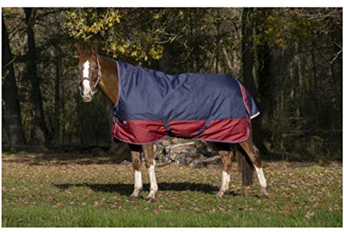 Equi-Theme Winterdecke Highneck 50g Füllung TYREX 1200D EQUITHÈME Marineblau/Bordeauxrot 165cm