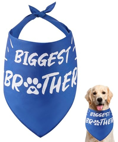 arricraft 1 Stück Haustier Hund Bandana, Blaues, Verstellbares Dreieckiges Haustier-Bandana Mit Den Worten „Größter Bruder“, Waschbarer Baumwoll-Welpen-Katzen-Schal, Lätzchen, Kopftuch