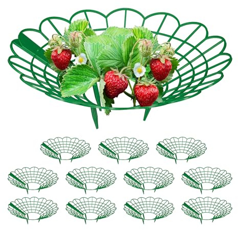Relaxdays Erdbeerreifer, im Set, Schneckenschutz Erdbeeren, Kunststoff, Erdbeergitter gegen Fäulnis & Schimmel, grün