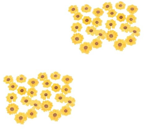 SHINEOFI 2 Sätze DIY Prägung Scrapbook Scheckheft Trockenblumen Zum Basteln Dekoration Bastelzubehör Selber Machen Getrocknete Blumen Für Harz Serpentinen-Chrysantheme Yellow Stück * 2