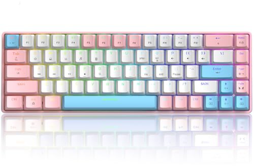 60% mechanische Mini-Tastatur, kompakt 68 Tasten, USB C, kabelgebunden, RGB-Tastatur, 18 Chroma Rainbow Hintergrundbeleuchtung, tragbar, kompatibel mit PS4, Xbox, PC, Laptop – Pink/Blauer Schalter