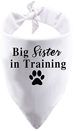1 Stück Big Sister/Brother in Training Hundehalstuch, für Schwangerschaft, Ankündigung, Geschlecht, Enthüllung (große Schwestern, weiß)