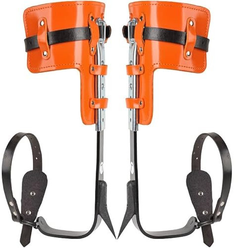YTCXNVEW Steigeisen Baumklettern, Baumspikes zum Klettern, Rindsleder-Baumklettern Ausrüstung zum Baumbeschneiden, Obstpflücken