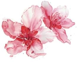 Temporary Tattoos For Adult 2 Pcs Of Cherry Blossom Chinese Style Face Stickers Flowers Color Waterproof Female Long-Lasting Clavicle Wrist Small Fresh Small Picture Large Picture Fake Tattoos