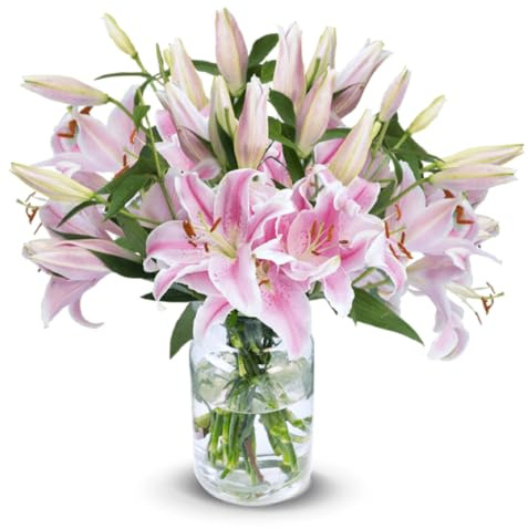 Blume Ideal Blumenstrauß | 15 Pinke Lilien | Ø 40–50 cm | Echte Lilien für Hochzeit & Deko | 7 Tage Frischegarantie | In verschiedenen Mengen