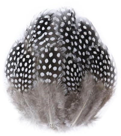 Paon faisan poulet plume en vrac 3-15 cm bricolage artisanat bijoux boucles d'oreilles mariage plume décoration(Red,20PCS)