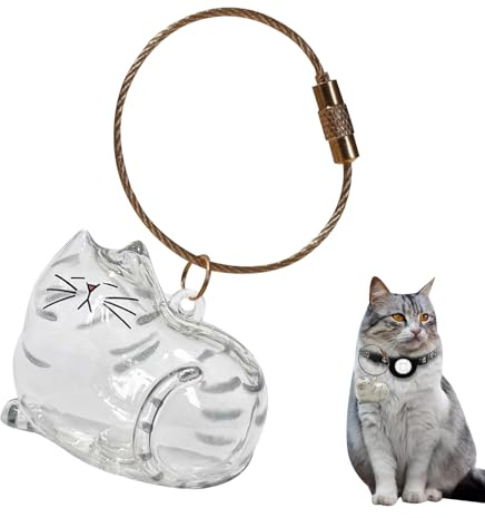 Porte-clés en poils de chat personnalisé, pendentif souvenir de poils d'animaux mignons, capsule commémorative de poils de chat, boîte de rangement transparente intéressante pour poils de chat