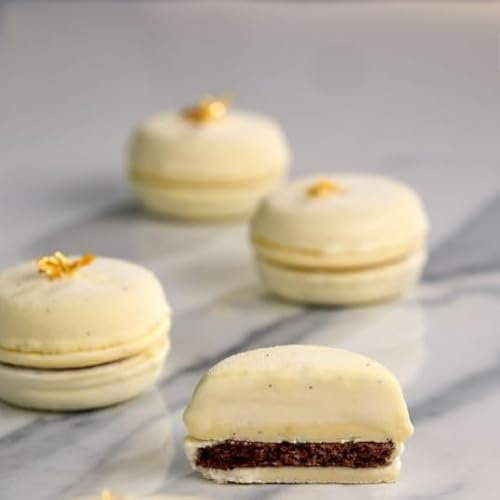 Pavoni MOULE MACARON KIT 300X175 MINI PORTION