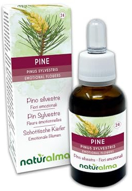 Pine o Pino silvestre (Pinus sylvestris) Flores emocionales o Flores de Bach Naturalma - Gotas 30 ml - Extracto líquido sin alcohol - Esencias florales - Vegano