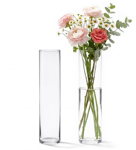 40,6 cm hög cylinderglasvas, 8,9 cm bred – klar glasvas för mittpunkt, golvvas, blommor, ljushållare, bröllopsbordsdekor från 4E's Novelty