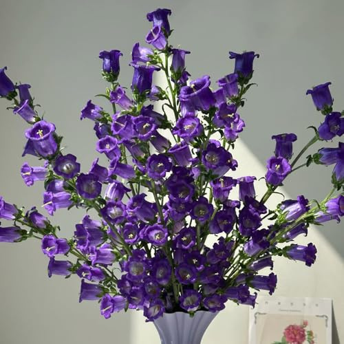 semi di campanula - decorazione giardino esterni 200pcs