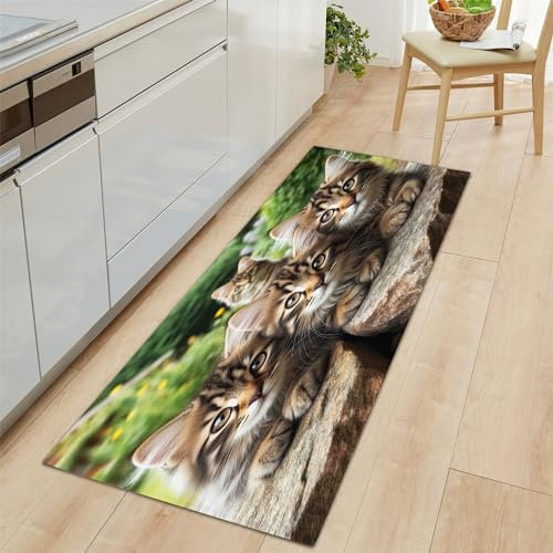 Küchenteppiche Braun Rutschfestes Küchenmatten 40x120 cm, Tiere Katzen Drucken Teppich Waschbar Küche Bodenmatte Küchenmatten, Komfort Pflegeleicht Für Küche Staubdicht Fußmatte