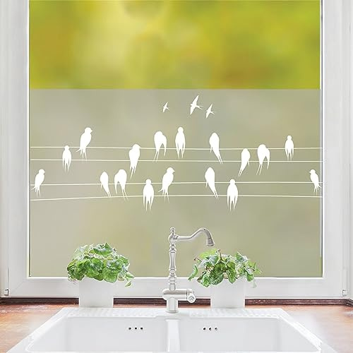 Sichtschutzfolie Fenster Vögel Leitung Fensterfolie Fensterdeko Milchglasfolie, 75 cm hoch, 65 cm breit
