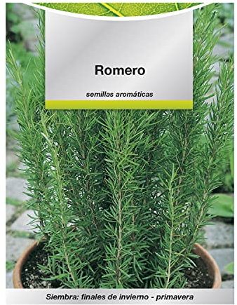 SATURNIA - Semillas Aromaticas Romero (0.1 gramos) Horticultura, Horticola, Semillas Huerto.