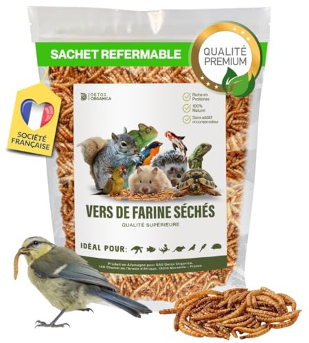 Detox Organica vers de Farine Séchés 160g=1000ml, Qualité Premium