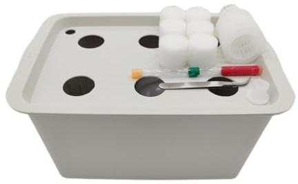 F Fityle Caja de Cultivo hidropónico sin Suelo, 6 Orificios para Mejor aireación, Ideal para Lechuga y hortalizas.