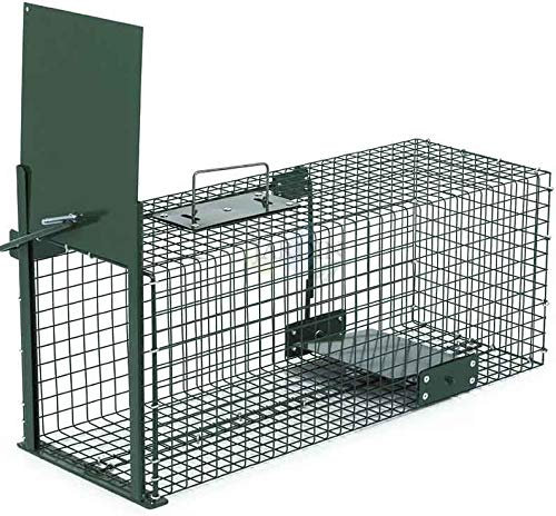 Suinga Piège Vivant Réutilisable 125x26x26 cm Piège à Animaux en Cage pour marthes, Chats, Rats et rongeurs