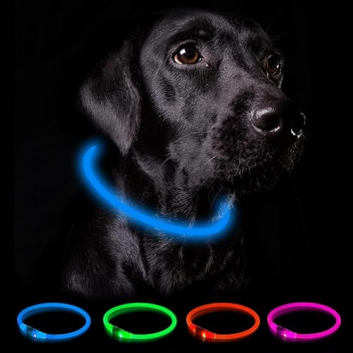 Nepfaivy Leuchthalsband Hund USB Aufladbar - Wasserdichtes Hundehalsband Leuchtend mit 3 Beleuchtungsmodi, Längenverstellbareres LED Halsband für Mittlere und Große Hunde