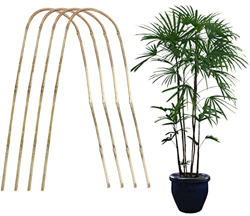 Pssopp Enrejado de Plantas Premium, Apoyo de Plantas de Trepadora para Glicinia, Monstruo, Hiedra, Planta de Interior, Vid, Hoya, Mini Frutas y Verduras (#3)