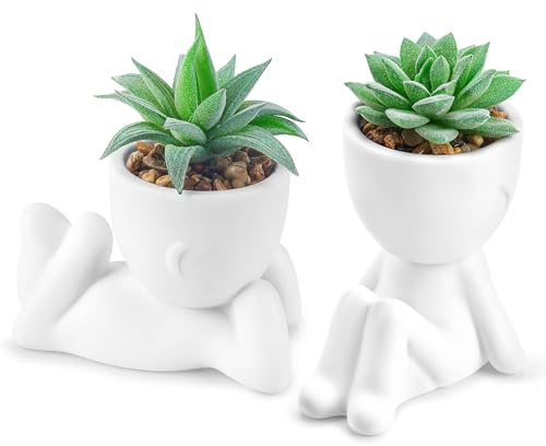Der Rose 2 Pack Fake Plants Succulents Plants Artificial for Living Room Home Bathroom Office Decor