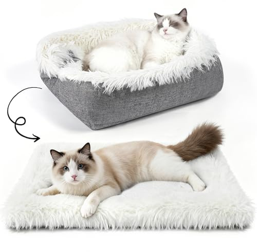 MAIYADUO Weiches Katzenbett Waschbar 60x45 cm Plüsch Haustierbett für Katzen und Kleine Hunde, 2 in 1 Katzenbett Schlafsack Warmes Haus Katzenkissen Katzendecke Waschbares Nest Bett für Katzen