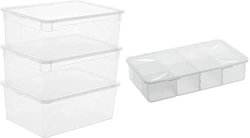 Rotho Clear 3er-Set Aufbewahrungsbox 10l mit Deckel, Kunststoff (PP), 3 x 10l& Snappy Aufbewahrungsbox 3l mit Einteilungen und Deckel, Kunststoff (PP) BPA-frei, transparent, 3l (33 x 19 x 7,6 cm)