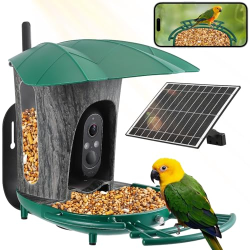GJCrafts Vogelfutterhaus mit Kamera (Dunkelgrün)
