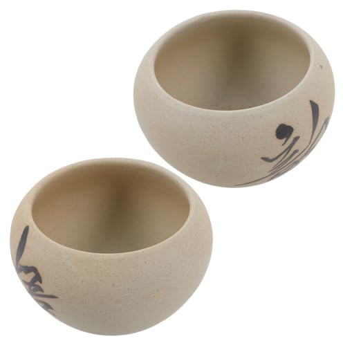 GARIOUANS 2 Piezas Maceta para Suculentas De Cerámica Macetas De Cerámica Hogar Oficina Jardinera Suculenta