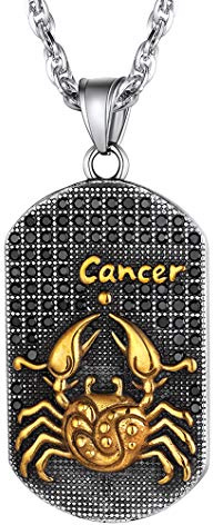 Richsteel Colgante de Cancer en Placa Dog Tag Collar con Signos Zodiacales
