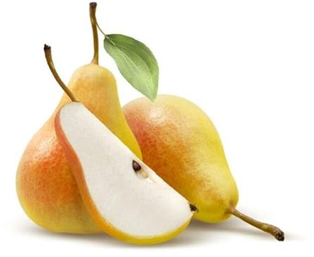 1 Gellerts Butterbirne 120-150cm im Topf Obstbaum Birne Pyrus, zartschmelzend, saftig & edel aromatisch – klassische Herbstsorte – winterhart & reichtragend