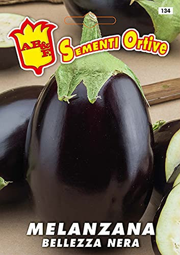 Melanzana Bellezza Nera , semi in busta