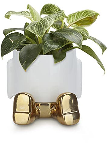 balvi Blumentopf MrSitty Gold Edition Farbe Gold EIN Lustiger Blumentopf für Pflanzen und Blumen Kera