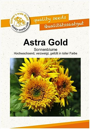 Blumensamen Astra Gold F1 Sonnenblume Portion