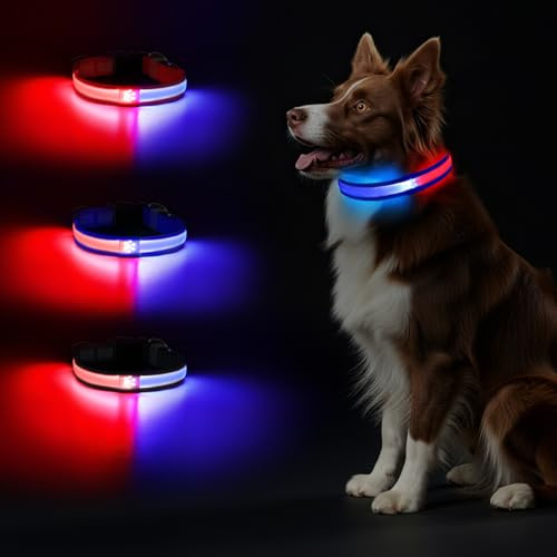 Leuchtend Halsband, LED Hundehalsband, Leuchthalsband Hund Aufladbar, Leuchtband Einstellbar Wasserdicht mit 2 Lichtmodi Hunde Leuchthalsband für Kleine Mittlere Große Hunde Nachtspaziergänge