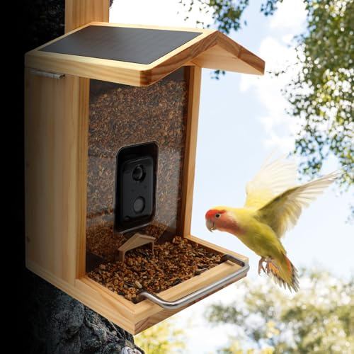 Croci WiFi Vogelfutterstation mit Solarpanel, Akku und Kamera HD 1080p, Smart App mit Artenerkennung, Fotos und Videos, Bewegungssensoren für Vögel aus Holz