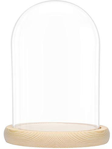 BELLE VOUS Campana in vetro con base in legno naturale, 20 cm, campana in vetro decorativa trasparente con piano in legno per luci, decorazioni da tavolo, antiquariato