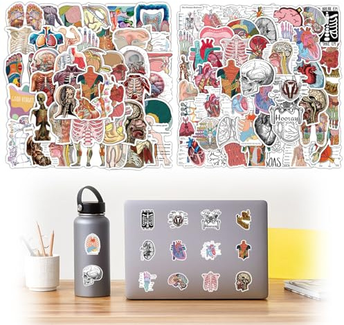 100 Pieces Body Anatomy Stickers, Computer Laptop Stickers, Organ Stickers, for Bicycle Luggage, Skateboard, Bumper, Motorcycle, Refrigerator, Laptop