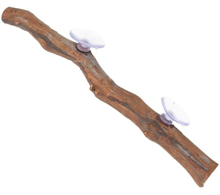 INOOMP Branche Bois de Vigne pour Reptiles Accessoire Naturel de Terrarium Support Escalade Compact et Sécurisé pour Lézards Dragons Barbus et Caméléons