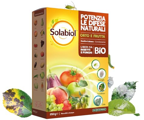 Solabiol Zeolite Cubana, Polvere di roccia, Corroborante che combatte e previene insetti e funghi delle piante. Ideale per orto, frutteto floreali e ornamentali. 250g