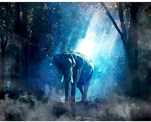 Acryl Malen Nach Zahlen Elefant Ölgemälde Auf Leinwand Tiere Diy Draw Number Decor, Kein Rahmen, 40 X 50 Cm Digitales Ölgemälde Diy Gemälde Wohnzimmer Dekoration Gemälde Handgemaltes Ölgemälde Handg