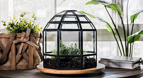 Urban Born Stort handgjort glasterrarium, 25 x 23 x 23 cm (svart)