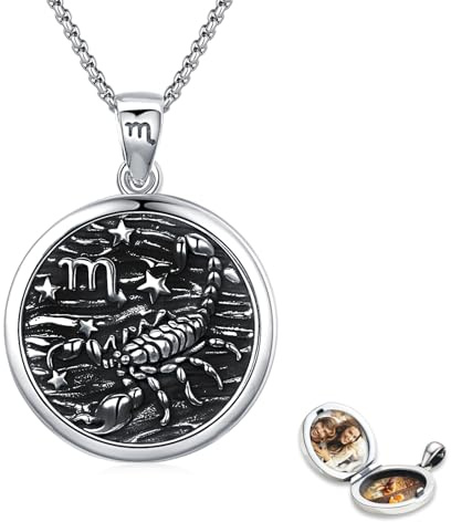 Redsun Skorpion Halskette 925 Sterling Silber Medaillon-Halskette Sternzeichen-Anhänger-Halsketten für Frauen Horoskop-Schmuck Geburtstagsgeschenk für Sie, Frauen, Teenager, Mädchen