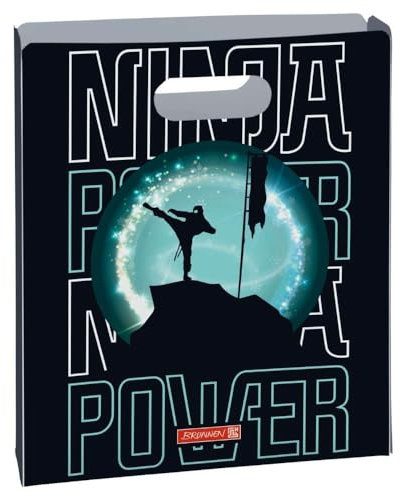 BRUNNEN HEFTBOX A4 PP OFFEN Ninja Power